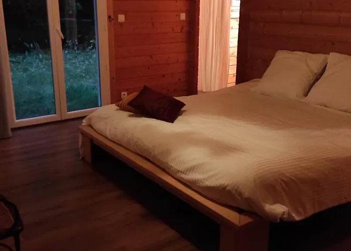 Suite Parentale Dans Maison En Bois Carcans - Vue Jardin